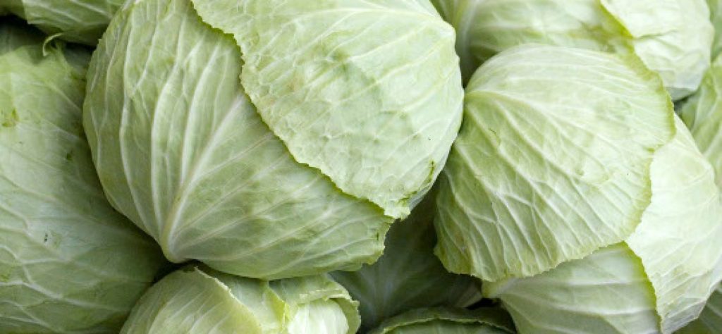 Λάχανο: Αυτά είναι τα οφέλη που προσφέρει στον οργανισμό (βίντεο)