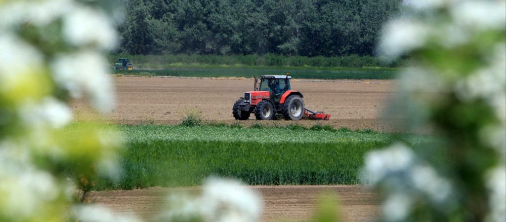 Ημαθία: Μετά από 30 χρόνια οι Έλληνες άνεργοι δουλεύουν στα χωράφια