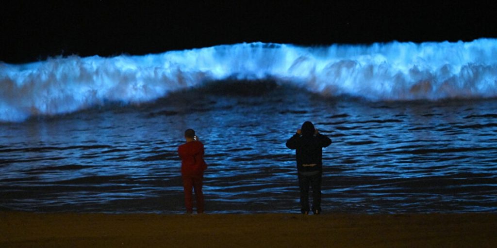 Η Καλιφόρνια θύμισε «Avatar» – Έλαμψαν οι παραλίες τη νύχτα (βίντεο)