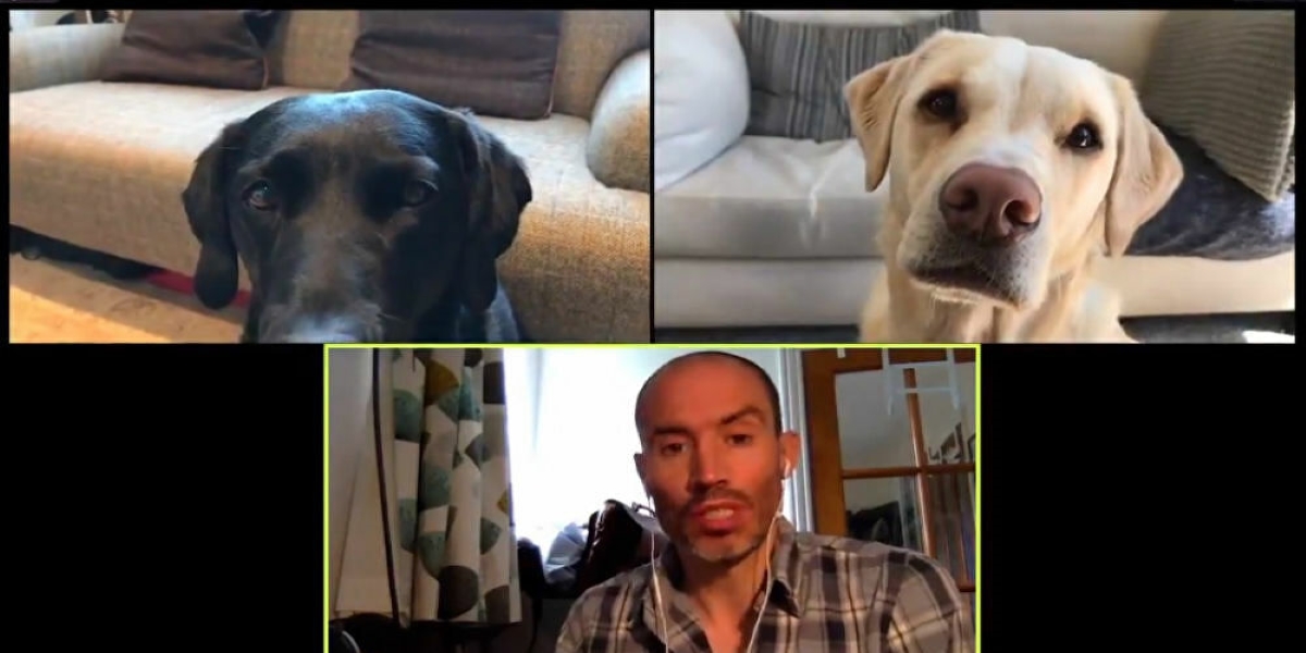 Στο κλίμα της εποχής: Έκανε τηλεδιάσκεψη με τα σκυλιά του! (βίντεο)