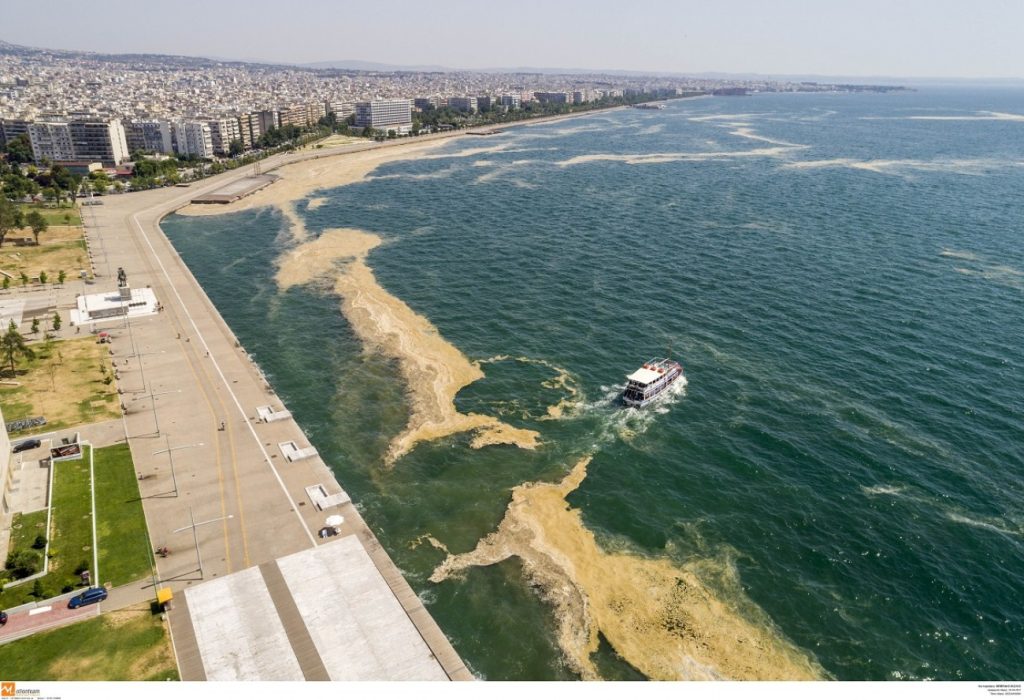 Ποσότητες φυτοπλαγκτόν εμφανίστηκαν σε πολλές ακτές – Πιθανότατα λόγω των ευνοϊκών καιρικών συνθηκών