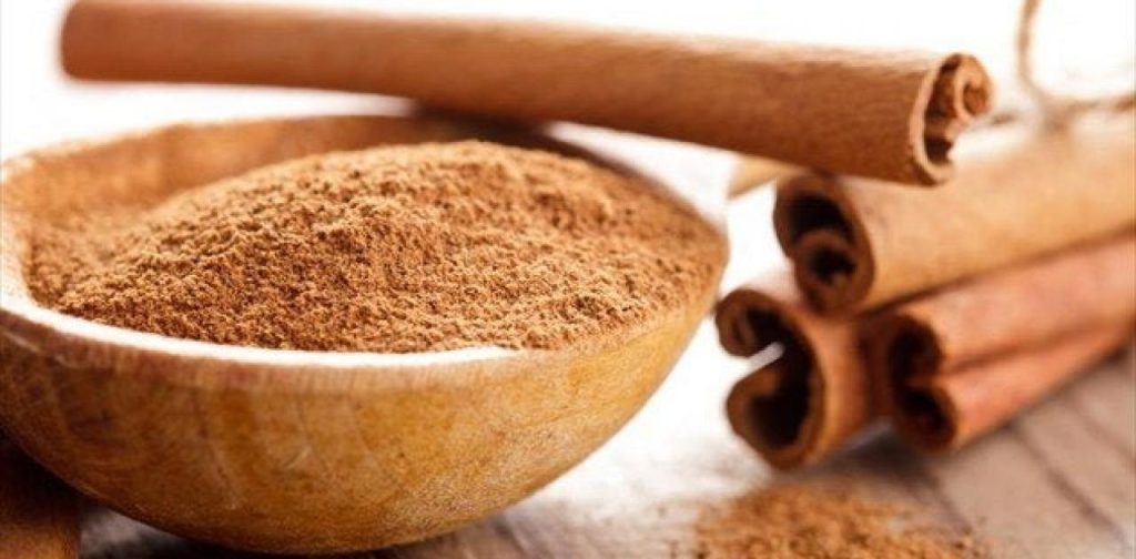 Έριξε κανέλα σε κάθε φυτό του κήπου της – Μόλις δείτε γιατί θα «τρέξετε» να το κάνετε και εσείς