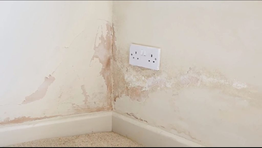 Μυρίζει το σπίτι σου υγρασία; – Αυτό το κόλπο θα σου «λύσει τα χέρια»