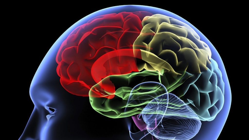 Αυτές είναι οι τροφές που ενισχύουν τον εγκέφαλο