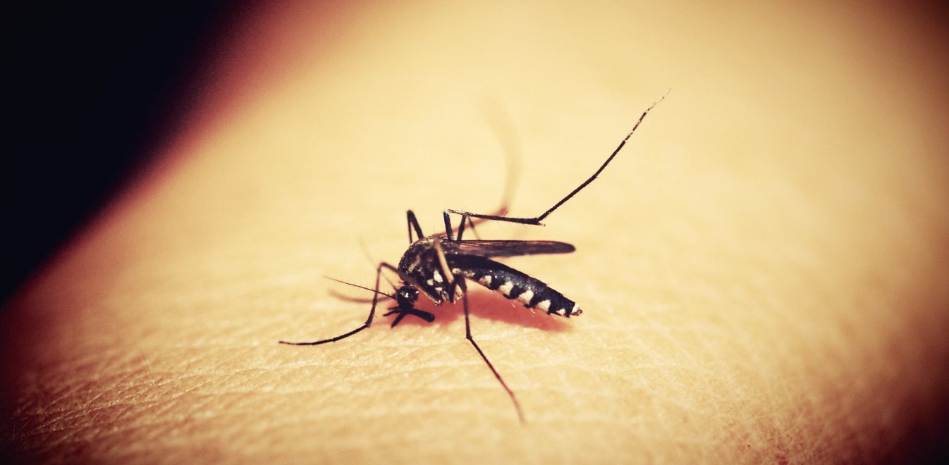 Συναγερμός στην περιφέρεια Πελοποννήσου – Κίνδυνος ελονοσίας λόγω των αλλοδαπών