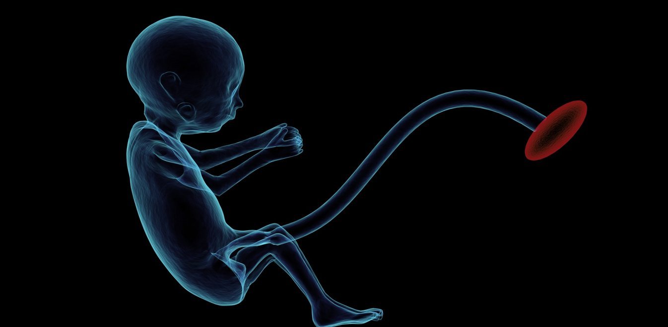 Νορβηγία: Δικαίωμα στην τεχνητή γονιμοποίηση για τις μοναχικές γυναίκες