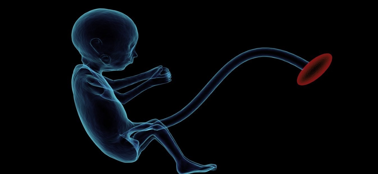 Φρίκη στην Ολλανδία: Γονιμοποιούσε τεχνητά γυναίκες εν αγνοία τους – Απέκτησε πάνω από 60 παιδιά (φώτο-βίντεο)