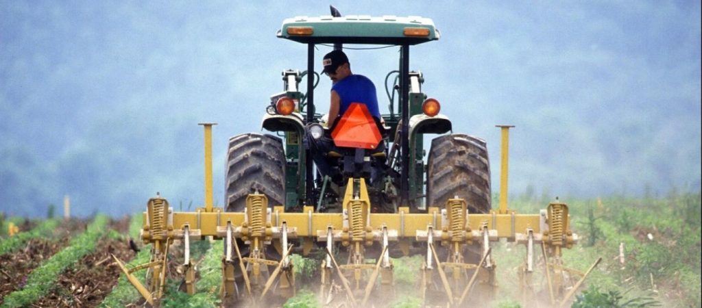 ΟΠΕΚΕΠΕ: Ως τις 18/6 η υποβολή αιτήσεων για επιστροφή του 10% σε παραγωγούς