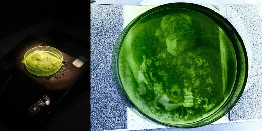 Η φωτογραφία σε άλλο επίπεδο: Εμφάνιση φιλμ μέσω… φωτοσύνθεσης (φώτο)