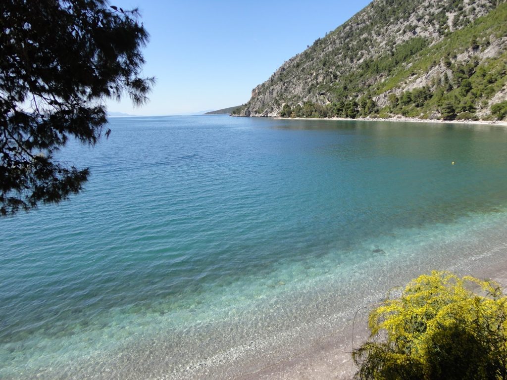 Έπαθαν σοκ οι λουόμενοι στη Χαλκίδα: Αγωγός αδειάζει λύματα στη θάλασσα (φώτο)