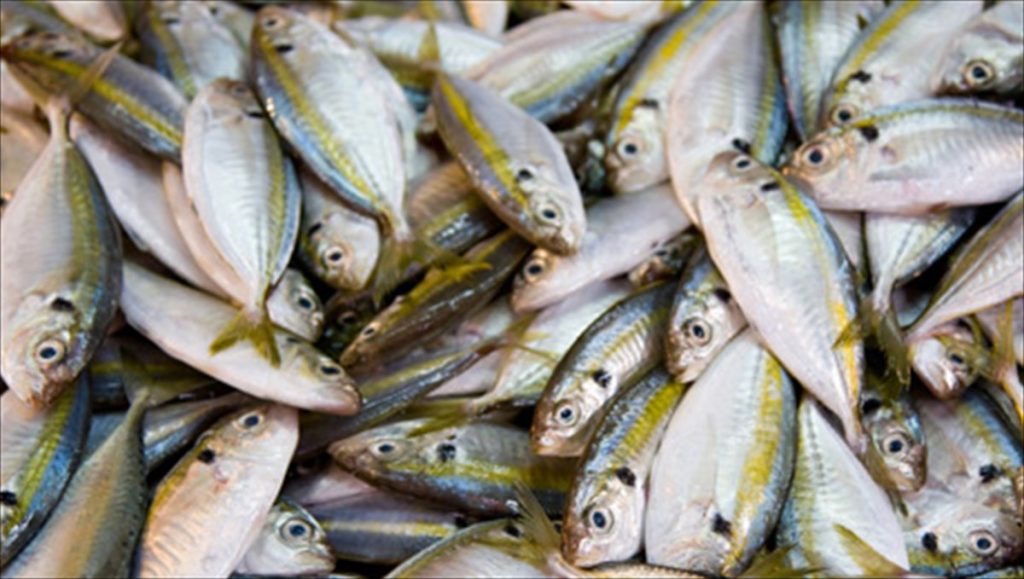 Προσοχή: Αυτά τα ψάρια είναι επικίνδυνα για την υγεία