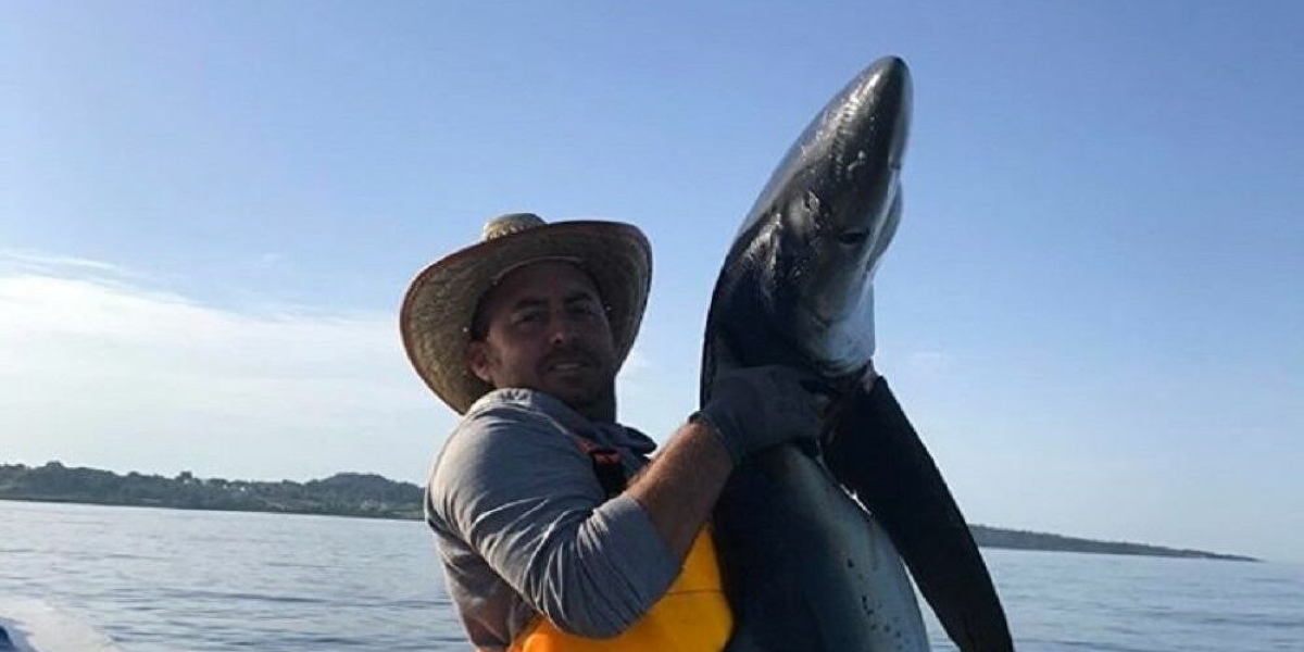 Ηλεία: Ψαράς «έβγαλε»… καρχαρία 2 μέτρων (φώτο)