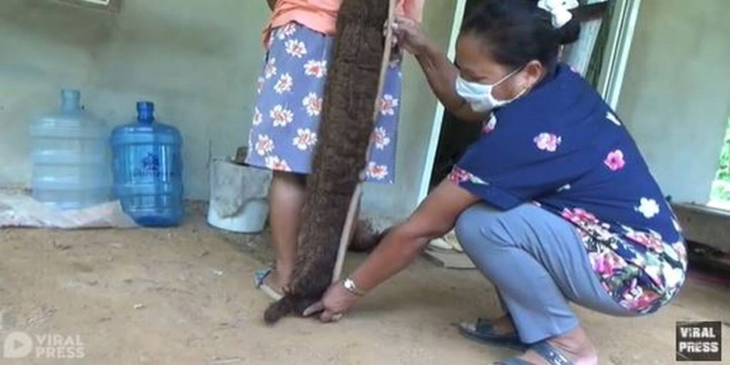 Ταϊλάνδη: Προληπτική γυναίκα έχει να λουστεί 20 χρόνια – Δείτε πως έγινε το μαλλί της (φώτο)