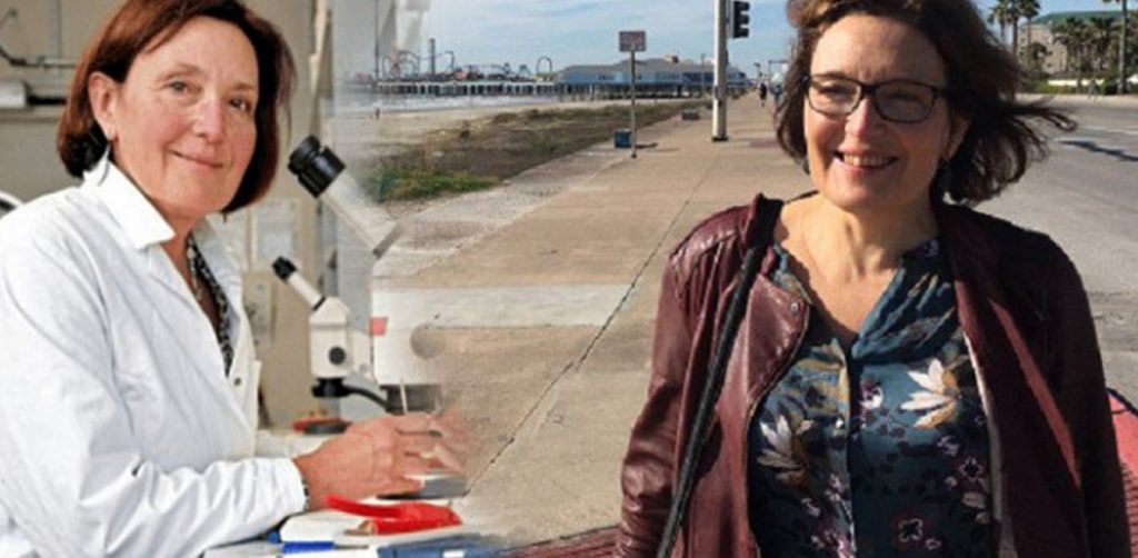 Δολοφονία βιολόγου: Καμία ενεργή ψυχοπαθολογία δεν διαπίστωσαν οι ψυχίατροι στον κατηγορούμενο