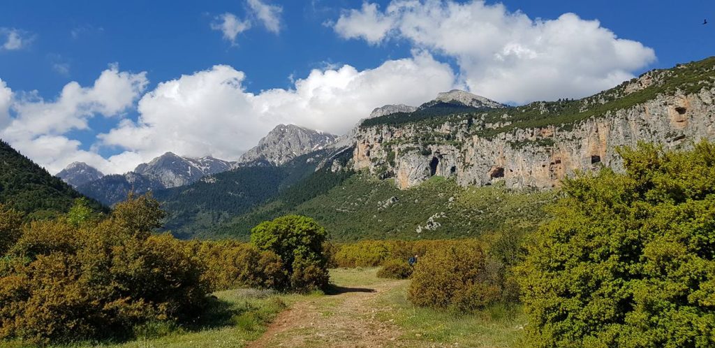 Παρνασσός: Ηλικιωμένος έπεσε σε χαράδρα ενώ μάζευε τσάι
