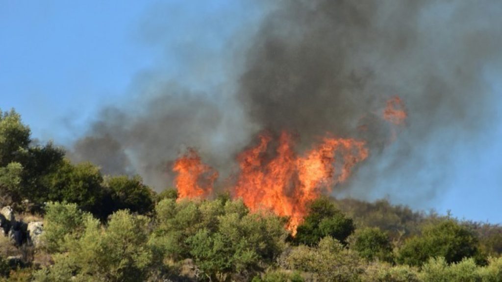 Φωτιά ξέσπασε σε δασική έκταση στο Κυπαρίσσι