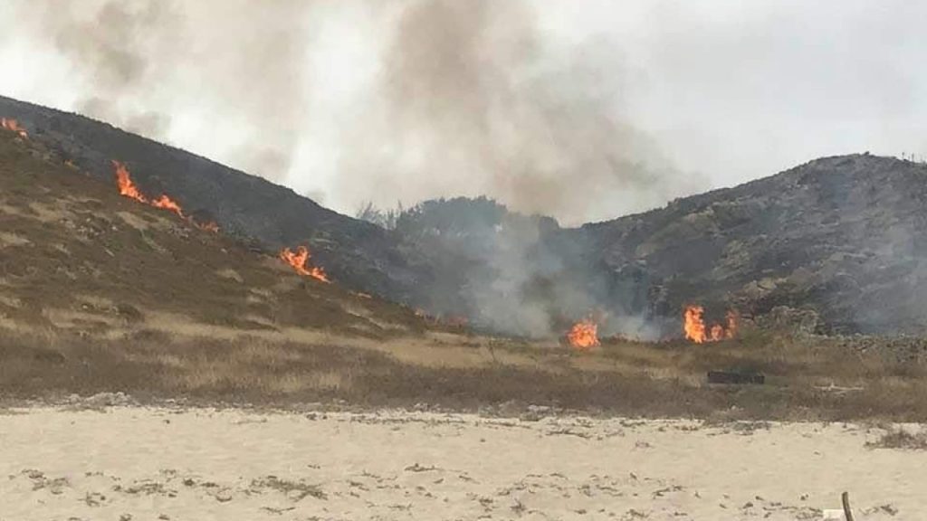 Μύκονος: Προσπάθησε να βάλει φωτιά σε ένα φίδι και… έκαψε 2.000 στρέμματα