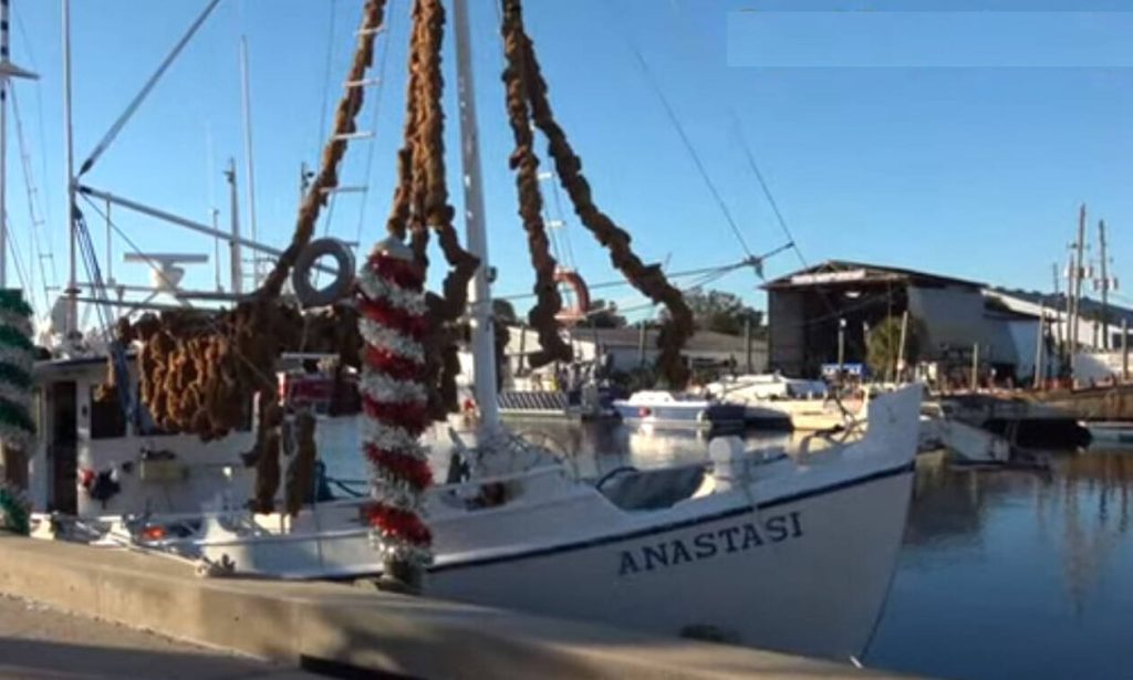 25 ελληνικά εστιατόρια, 9 σχολεία: Το χωριό της Φλόριντα με τους χιλιάδες Έλληνες που θυμίζει 12νησα