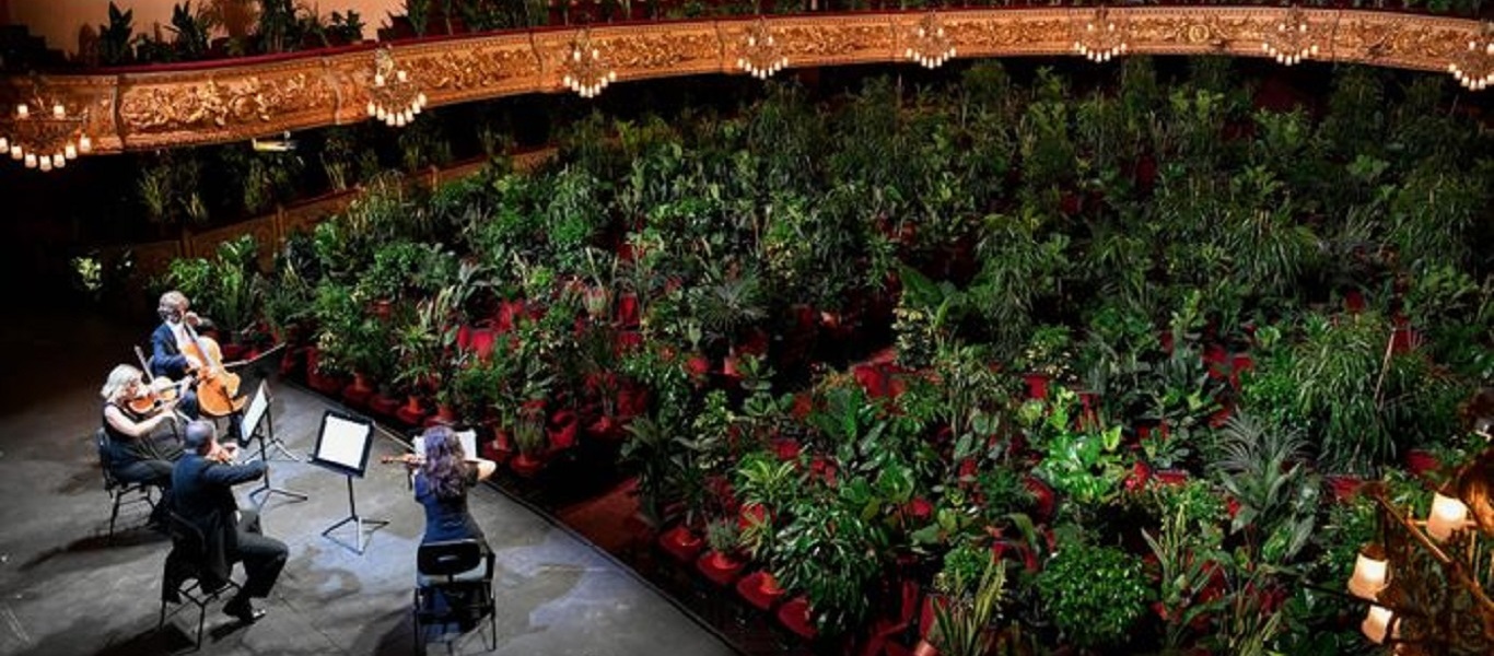 Ισπανία: «Φύτεψαν» νεοκλασικό θέατρο της Βαρκελώνης για να παίξουν όπερα (βίντεο)