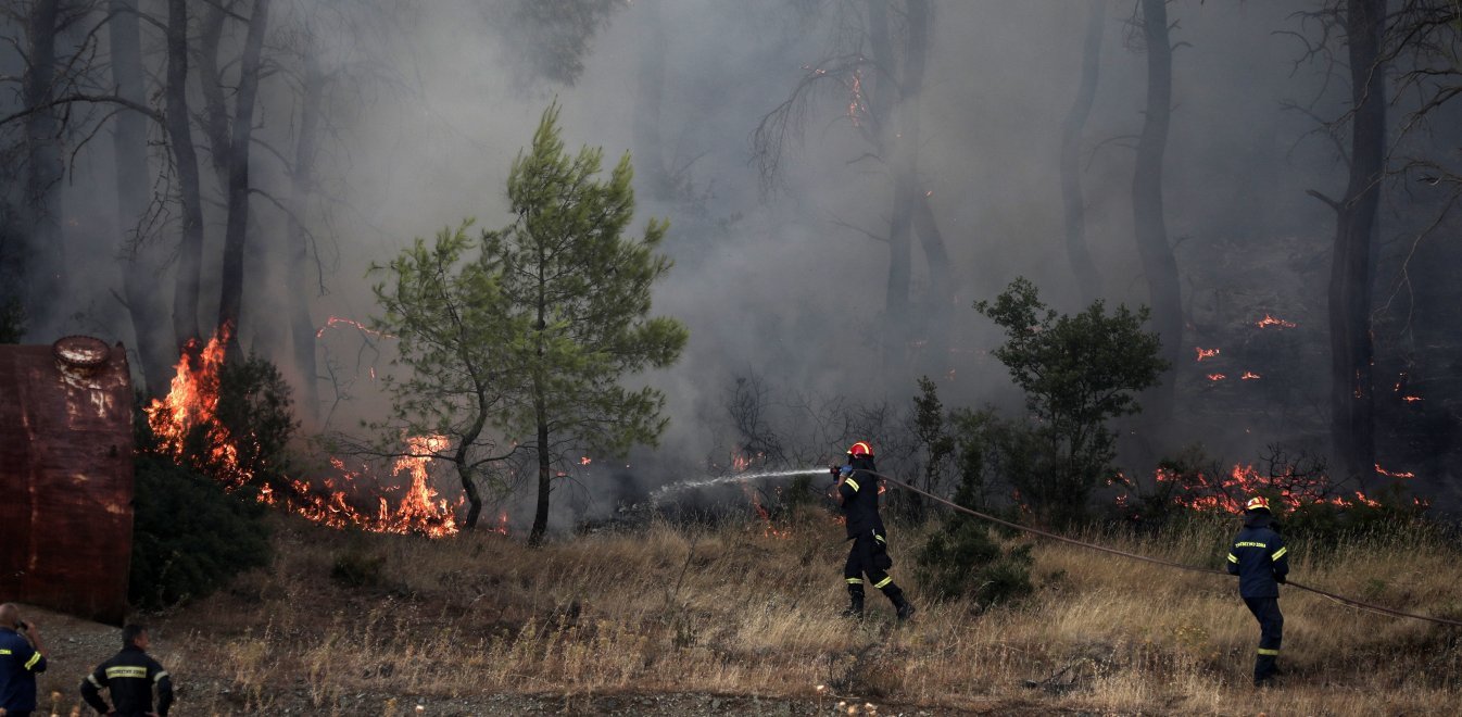 Μεγάλη φωτιά ξέσπασε σε δάσος στην Κάρυστο – Επιχειρούν 47 πυροσβέστες με 15 οχήματα (upd)