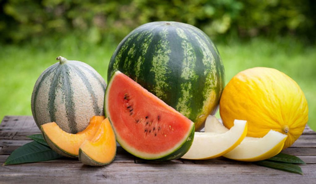 Πεπόνι vs καρπούζι: Η μεγάλη μάχη του καλοκαιριού