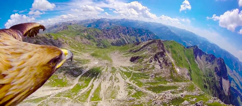 Άλπεις: Εκεί που δεν πατάει άνθρωπος (βίντεο)