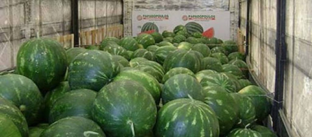 Καλαμπάκα: Λαθρομετανάστες κρύβονταν σε φορτηγό με καρπούζια