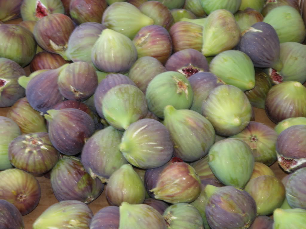 Σύκο: Η απόλυτη υπερτροφή του καλοκαιριού – Δείτε 10 οφέλη του