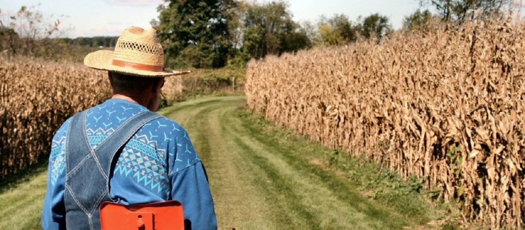 Αποζημιώσεις 7 εκατ. ευρώ θα λάβουν αγρότες από τον ΕΛΓΑ