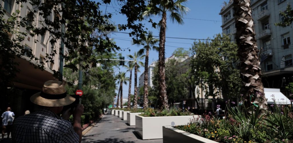 Μεγάλος Περίπατος:  Η Πανεπιστημίου γέμισε φοίνικες (φωτό)