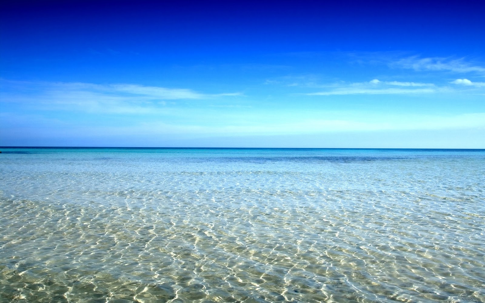 H παραλία-όνειρο που θυμίζει νησί μόλις μια ώρα μακριά από την Αθήνα (φωτό)