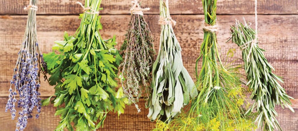 Αυτό είναι το ελληνικό βότανο που βοηθά στην πρόληψη του καρκίνου – Σίγουρα το έχετε στην κουζίνα σας