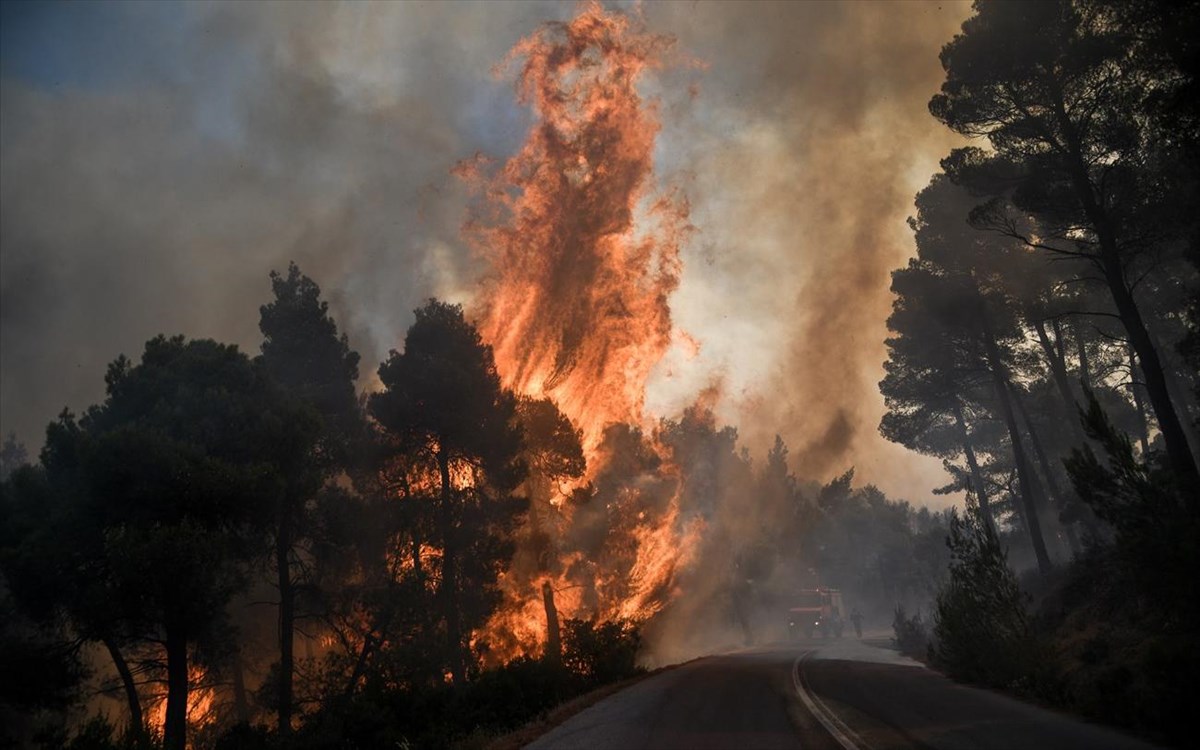 Αμερικανοί αξιωματούχοι προειδοποιούν: «Οι δασικές πυρκαγιές μπορεί να επιδεινώσουν τα συμπτώματα του κορωνοϊού»