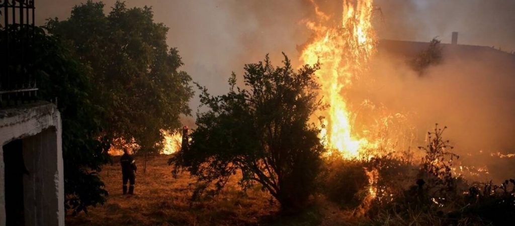 Φωτιά στον Άγιο Στέφανο Αττικής