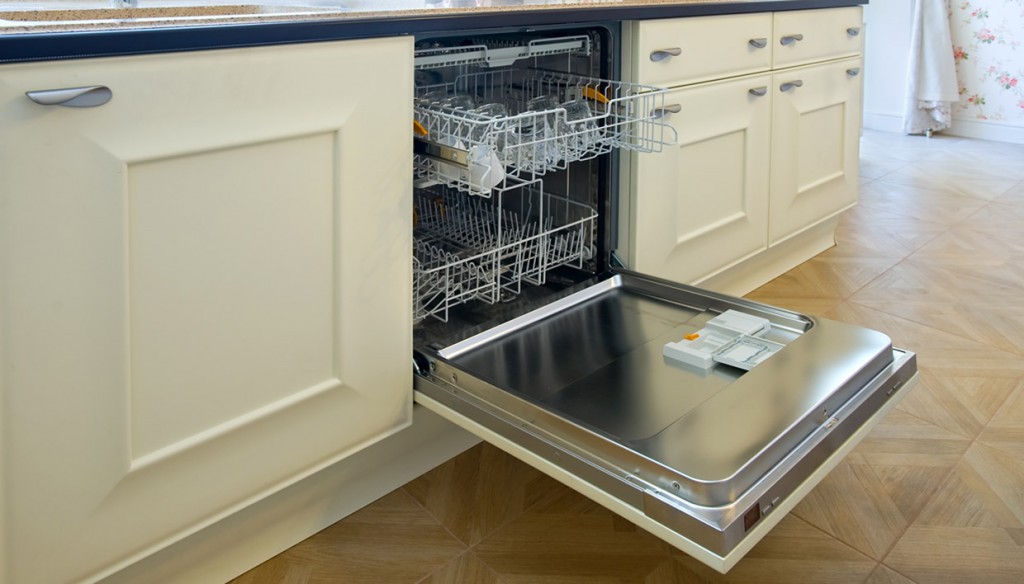 Πώς είναι η… ζωή μέσα σε ένα πλυντήριο πιάτων σε λειτουργία; – Να η απάντηση (βίντεο)