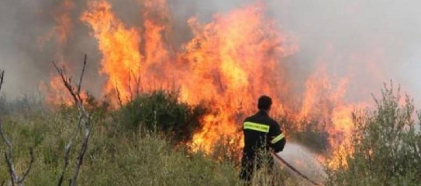 Φωτιά στην Κάτω Αχαΐα – Μεγάλη κινητοποίηση της πυροσβεστικής (βίντεο)