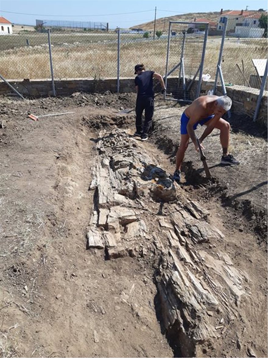 Λήμνος: Βρήκαν γιγαντιαίο κορμό απολιθωμένου δένδρου κατά τη διάρκεια εργασιών (φωτο)