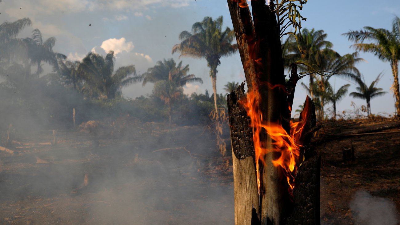 Αμαζόνιος: Απαγόρευση καύσης  για 120 ημέρες