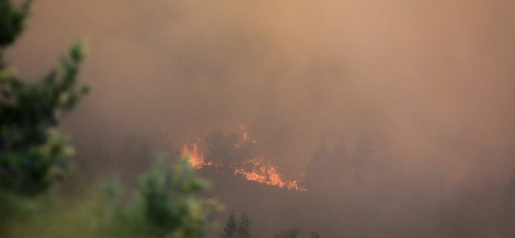 Λουτράκι: Συναγερμός στην Περαχώρα – Ξέσπασε φωτιά μακριά από κατοικημένη περιοχή