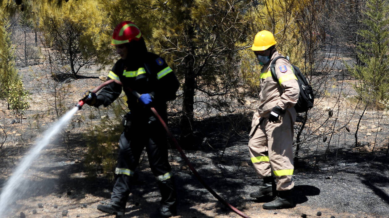 Υπό έλεγχο η πυρκαγιά στην Κάρυστο – Είχε εκκενωθεί προληπτικά ο οικισμός στο Δηλησό Ευβοίας (βίντεο) (upd)