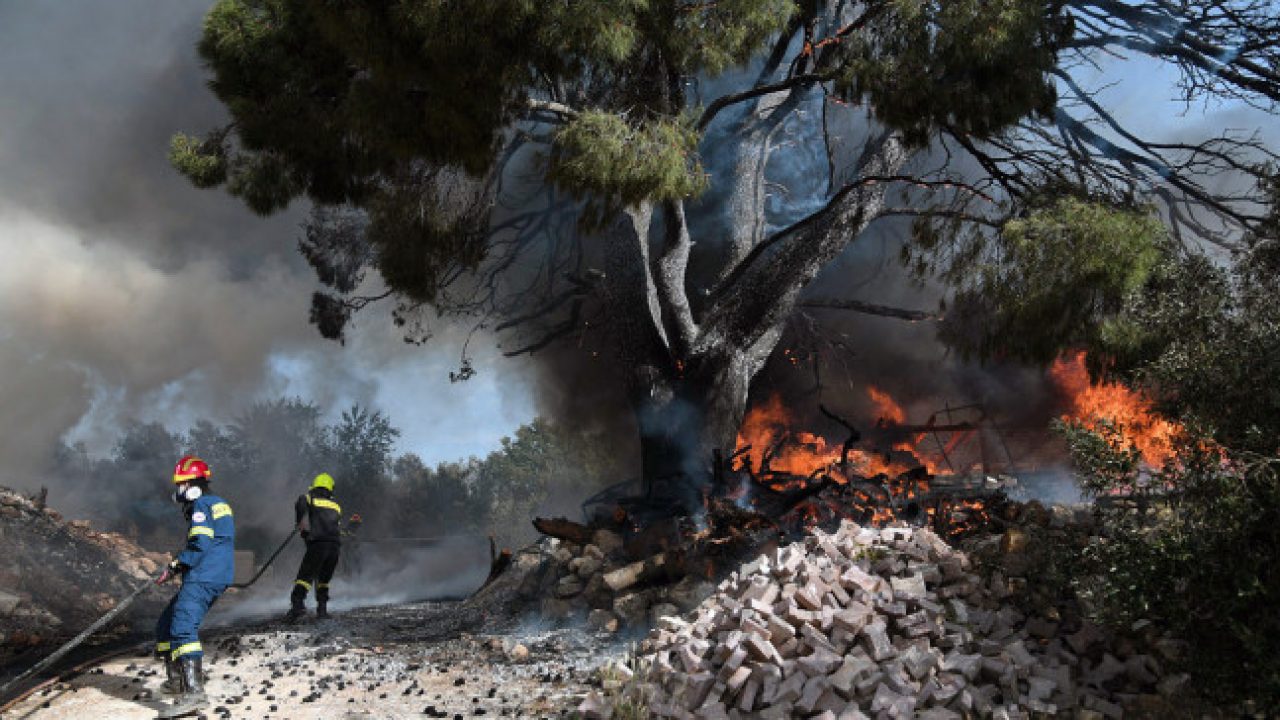 Εύβοια: Εκτός ελέγχου η φωτιά στην Κάρυστο – Εκκενώθηκε οικισμός (βίντεο) (upd)