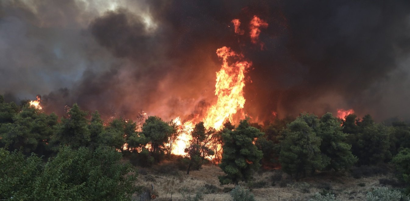 Φωτιά στη Ράχη Αχαΐας – Επιχειρούν 40 πυροσβέστες