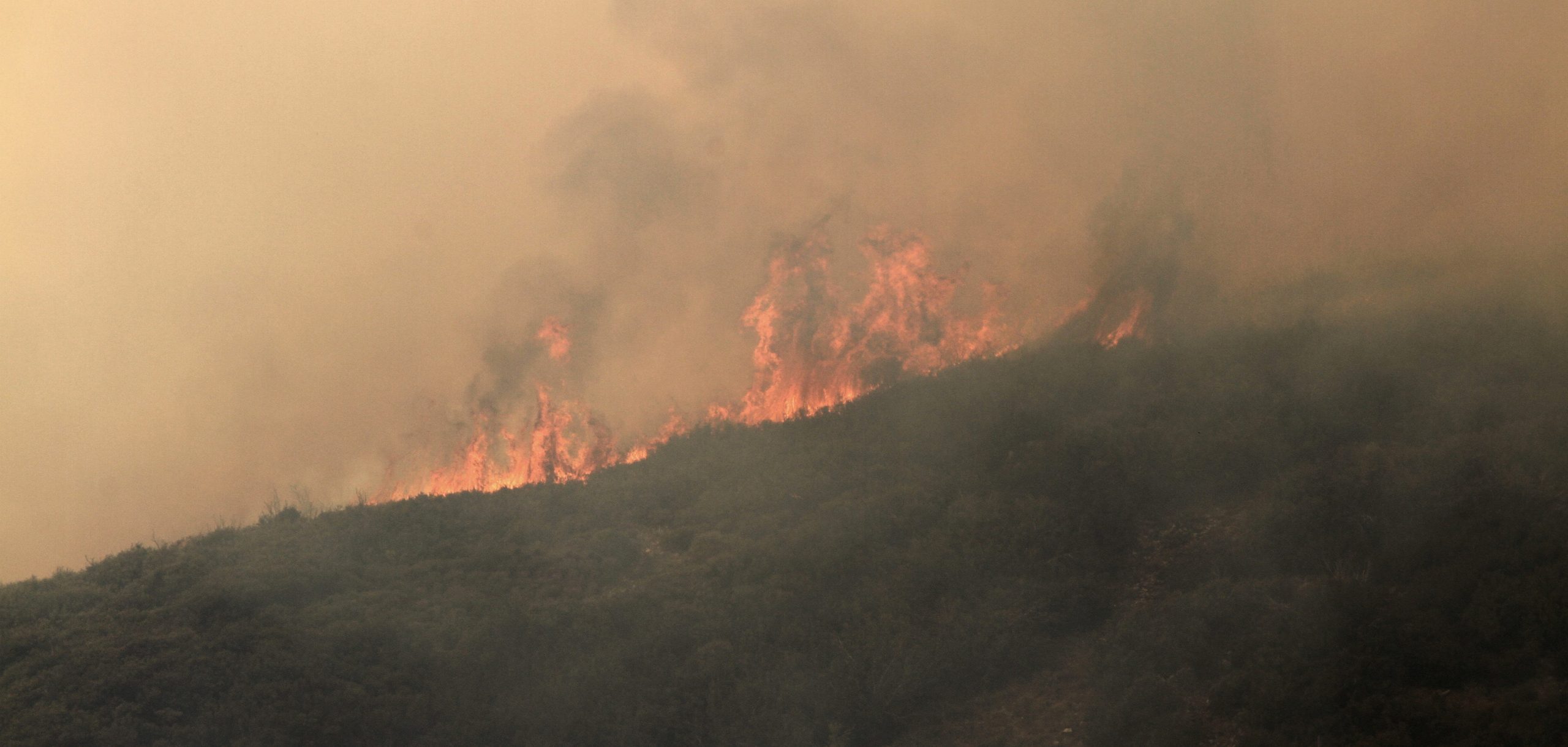 Πυρκαγιά στη Χαλκίδα κοντά στα Ναυπηγεία