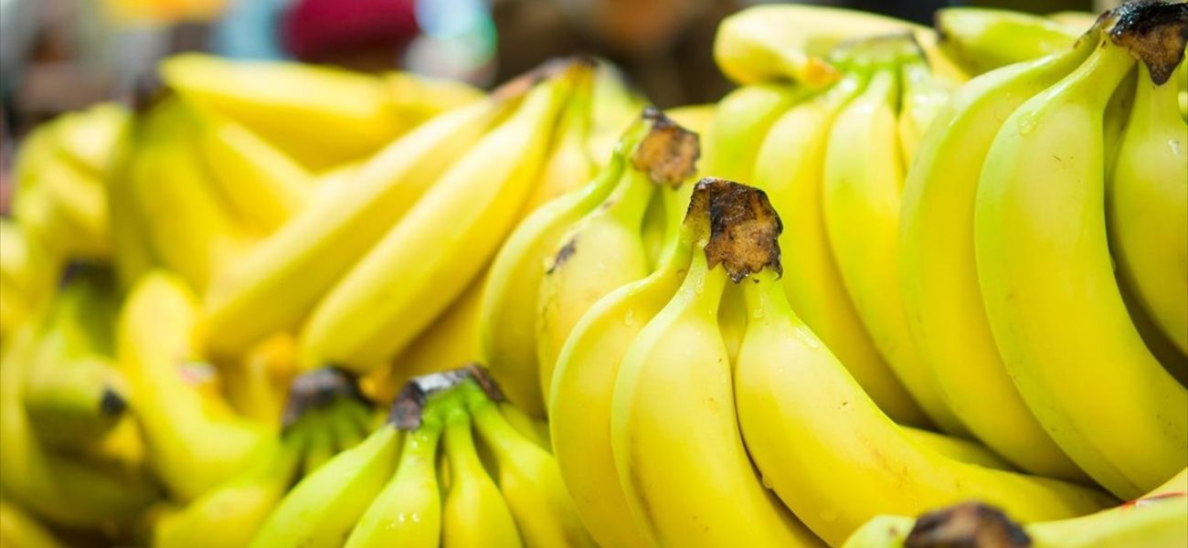 Μ. Βρετανία: Μαζί με τις μπανάνες δώρο μία… δηλητηριώδης αράχνη (φώτο)