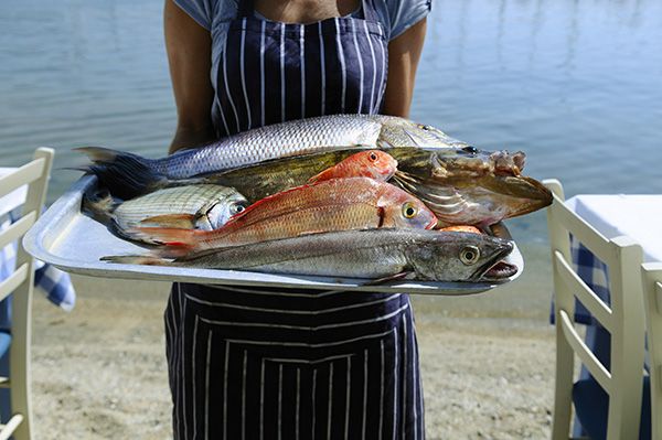 «Τέρμα η κοροϊδία»: Tο κόλπο για να ξεχωρίσεις το φρέσκο ψάρι στην ταβέρνα