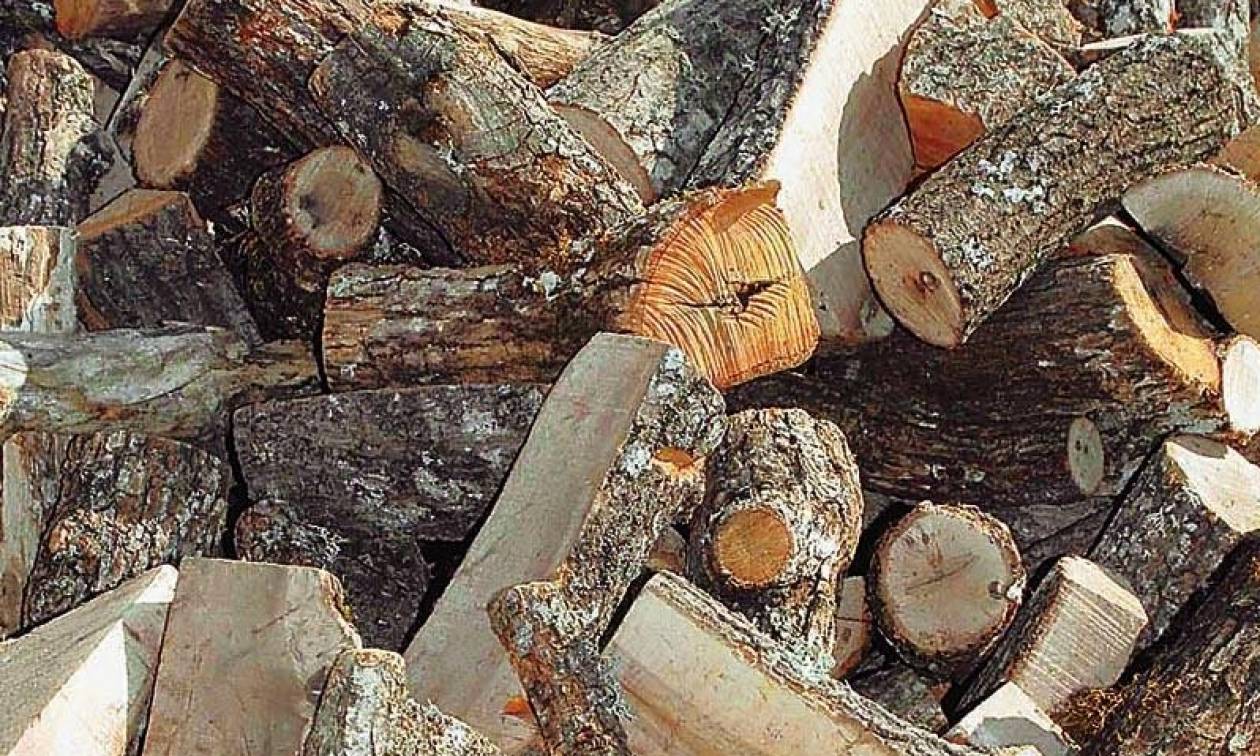 Κύπρος: Νεκρός άντρας που καταπλωκώθηκε από 1,5 τόνο ξύλα