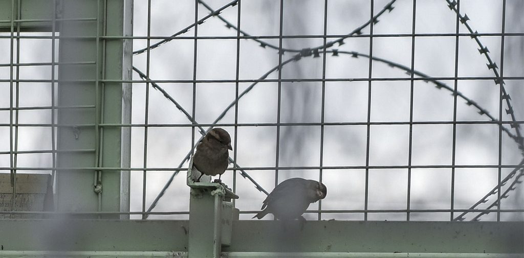 Φυλακές Αγίου Στεφάνου – Πάτρα: Κρατούμενος πήρε άδεια και… έγινε «καπνός»