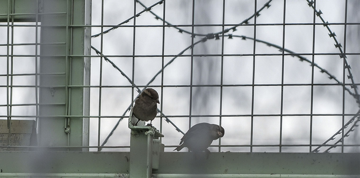 Φυλακές Αγίου Στεφάνου – Πάτρα: Κρατούμενος πήρε άδεια και… έγινε «καπνός»