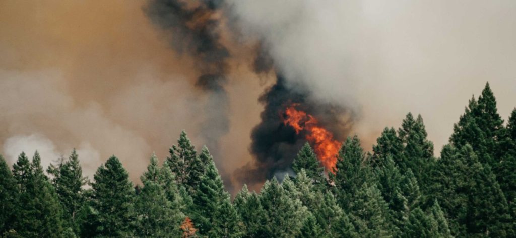 Συναγερμός στην Κεφαλονιά – Ξέσπασε φωτιά σε δασική έκταση