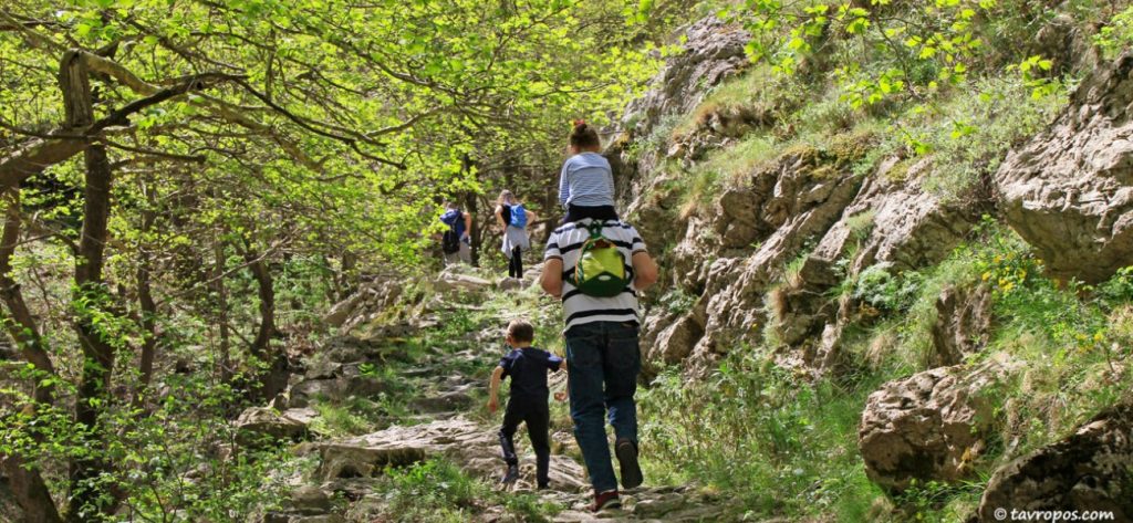 Κέρκυρα: Βρέθηκαν οι δύο Γερμανοί τουρίστες που είχαν χαθεί σε απόκρημνα μονοπάτια